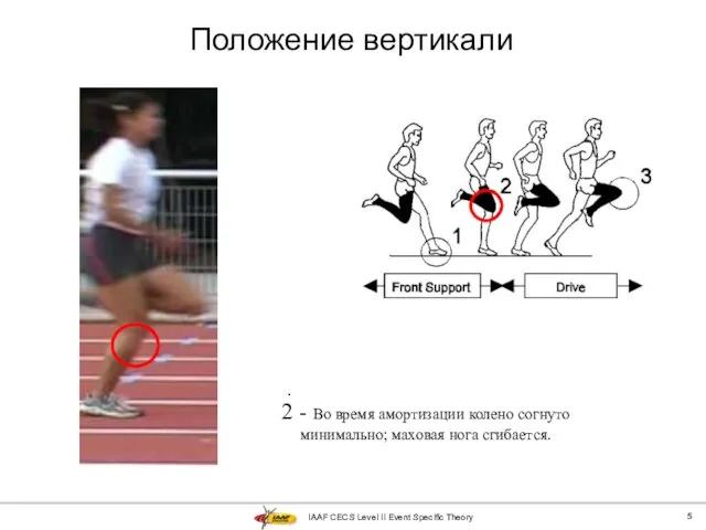 IAAF CECS Level II Event Specific Theory Положение вертикали . 2 -