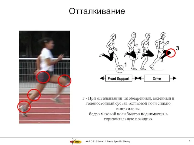 IAAF CECS Level II Event Specific Theory Отталкивание 3 - При отталкивании