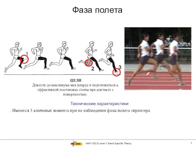 IAAF CECS Level II Event Specific Theory Фаза полета Технические характеристики .