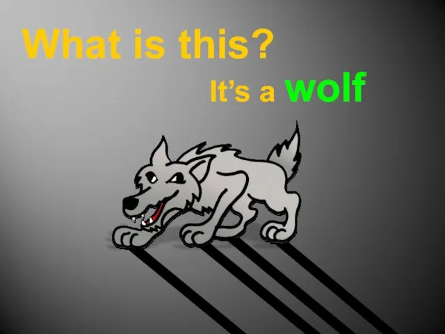 What is this? It’s a wolf