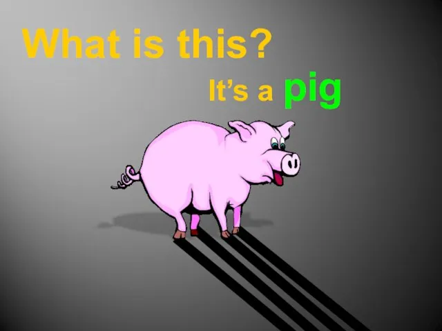 What is this? It’s a pig