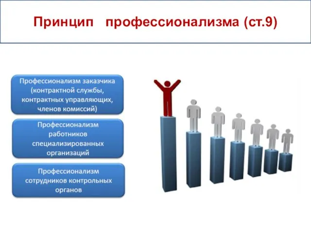 Принцип профессионализма (ст.9)