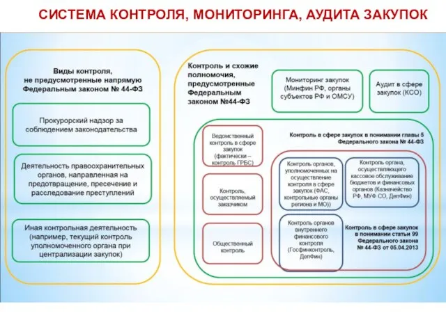 СИСТЕМА КОНТРОЛЯ, МОНИТОРИНГА, АУДИТА ЗАКУПОК