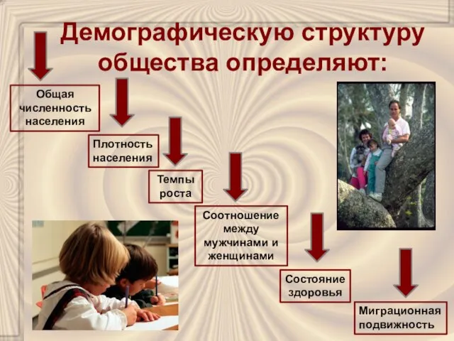 Демографическую структуру общества определяют: Общая численность населения Плотность населения Темпы роста Соотношение