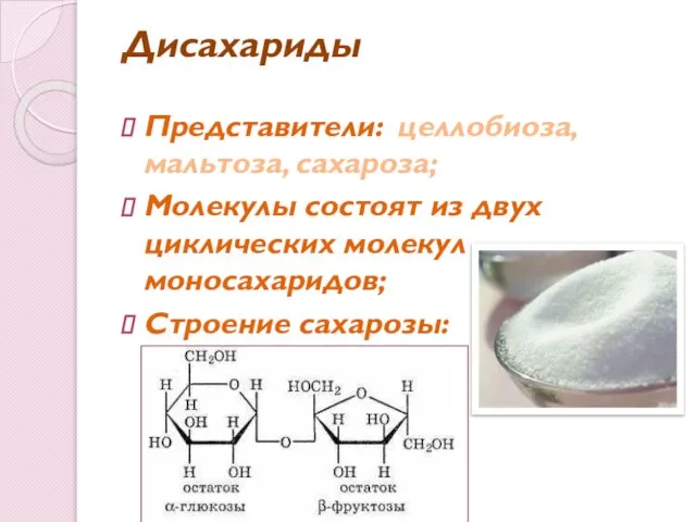 Дисахариды Представители: целлобиоза, мальтоза, сахароза; Молекулы состоят из двух циклических молекул моносахаридов; Строение сахарозы: