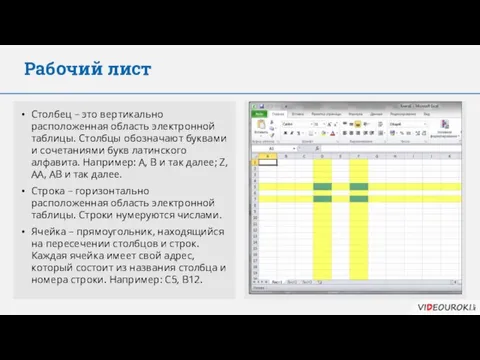 Рабочий лист Столбец – это вертикально расположенная область электронной таблицы. Столбцы обозначают