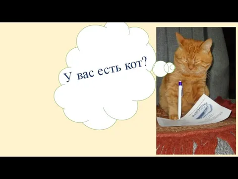 У вас есть кот?