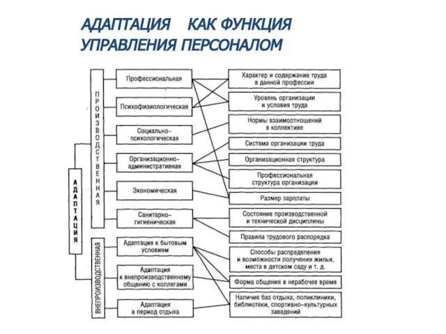 АДАПТАЦИЯ КАК ФУНКЦИЯ УПРАВЛЕНИЯ ПЕРСОНАЛОМ