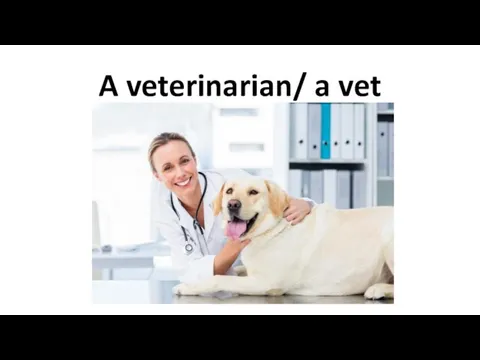 A veterinarian/ a vet