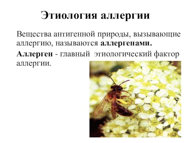 Вещества антигенной природы, вызывающие аллергию, называются аллергенами. Аллерген - главный этиологический фактор аллергии. Этиология аллергии