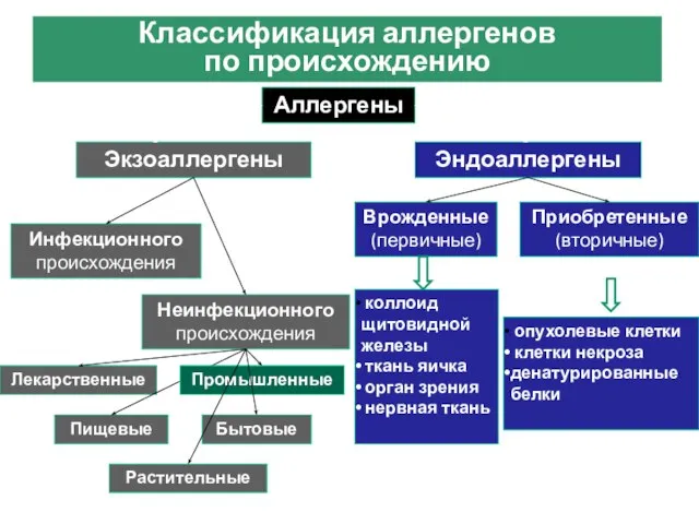 Классификация аллергенов по происхождению Аллергены Эндоаллергены Экзоаллергены Приобретенные (вторичные) Врожденные (первичные) Инфекционного