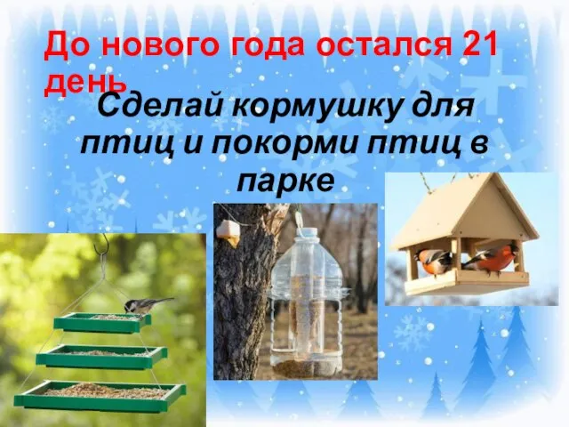 До нового года остался 21 день Сделай кормушку для птиц и покорми птиц в парке