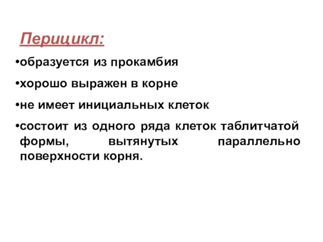 Перицикл: образуется из прокамбия хорошо выражен в корне не имеет инициальных клеток