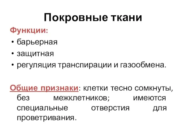 Покровные ткани Функции: барьерная защитная регуляция транспирации и газообмена. Общие признаки: клетки