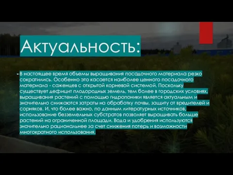 Актуальность: В настоящее время объемы выращивания посадочного материала резко сократились. Особенно это