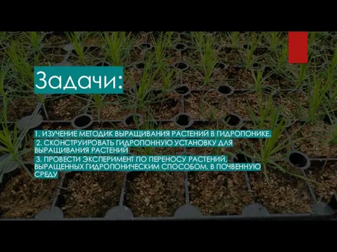 Задачи: 1. ИЗУЧЕНИЕ МЕТОДИК ВЫРАЩИВАНИЯ РАСТЕНИЙ В ГИДРОПОНИКЕ. 2. СКОНСТРУИРОВАТЬ ГИДРОПОННУЮ УСТАНОВКУ