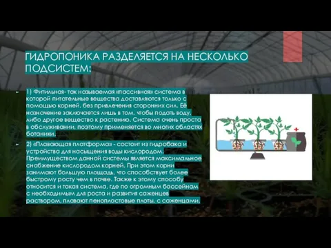 ГИДРОПОНИКА РАЗДЕЛЯЕТСЯ НА НЕСКОЛЬКО ПОДСИСТЕМ: 1) Фитильная- так называемая «пассивная» система в