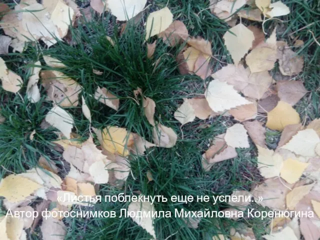 «Листья поблекнуть еще не успели..» Автор фотоснимков Людмила Михайловна Коренюгина