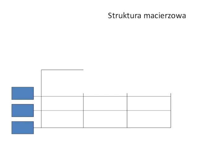 Struktura macierzowa