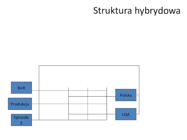 Struktura hybrydowa B+R Produkcja Sprzedaż USA Polska