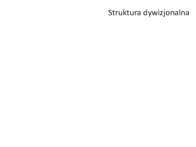 Struktura dywizjonalna