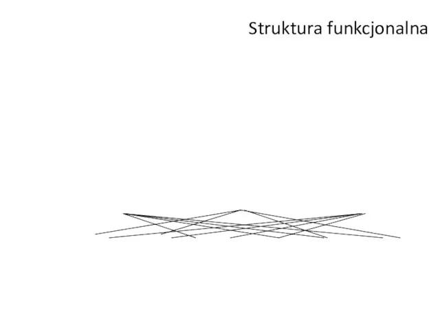 Struktura funkcjonalna