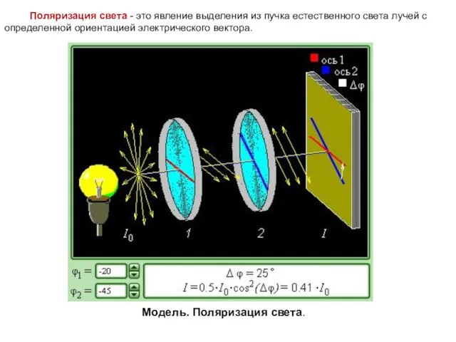 Модель. Поляризация света. Поляризация света - это явление выделения из пучка естественного