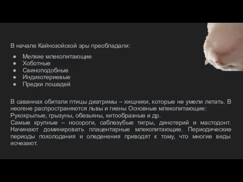 В начале Кайнозойской эры преобладали: Мелкие млекопитающие Хоботные Свиноподобные Индикотериевые Предки лошадей