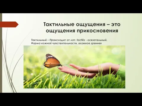 Тактильные ощущения – это ощущения прикосновения Тактильный – Происходит от лат. tactilis