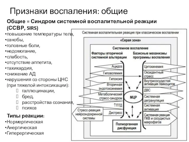 Признаки воспаления: общие Типы реакции: Нормергическая Анергическая Гиперергическая Общие = Синдром системной