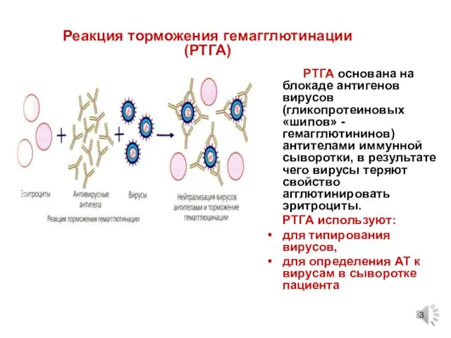 РТГА основана на блокаде антигенов вирусов (гликопротеиновых «шипов» - гемагглютининов) антителами иммунной