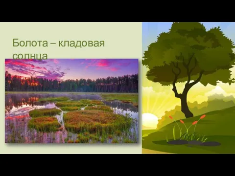 Болота – кладовая солнца