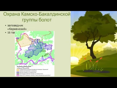Охрана Камско-Бакалдинской группы болот заповедник «Керженский» 16 памятников природы