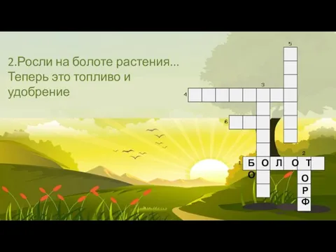 2.Росли на болоте растения... Теперь это топливо и удобрение Б О Л О Т О