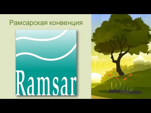 Рамсарская конвенция