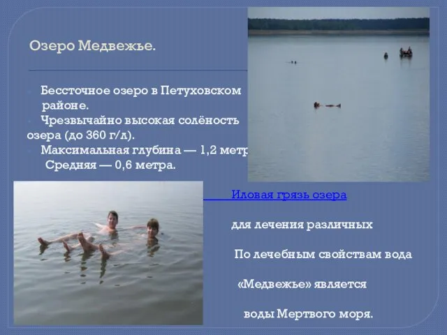 Озеро Медвежье. Бессточное озеро в Петуховском районе. Чрезвычайно высокая солёность озера (до