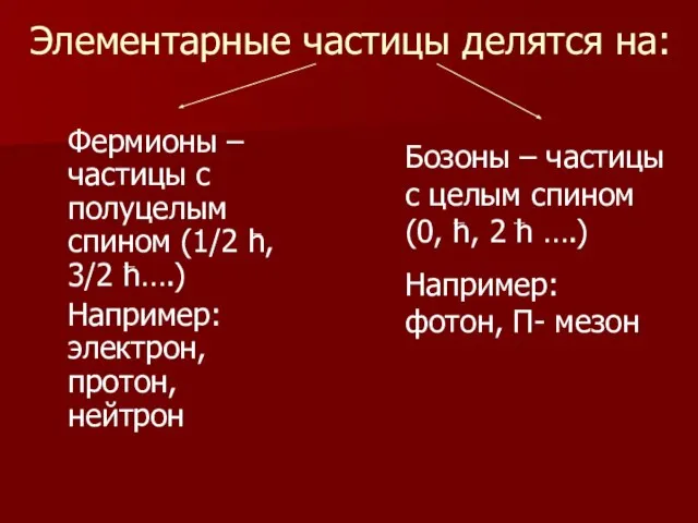 Элементарные частицы делятся на: Фермионы – частицы с полуцелым спином (1/2 h,