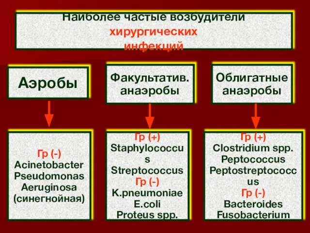 Наиболее частые возбудители хирургических инфекций Аэробы Факультатив. анаэробы Облигатные анаэробы Гр (-)