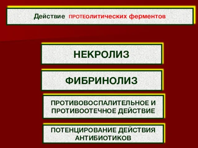 Действие ПРОТЕолитических ферментов НЕКРОЛИЗ ФИБРИНОЛИЗ ПРОТИВОВОСПАЛИТЕЛЬНОЕ И ПРОТИВООТЕЧНОЕ ДЕЙСТВИЕ ПОТЕНЦИРОВАНИЕ ДЕЙСТВИЯ АНТИБИОТИКОВ