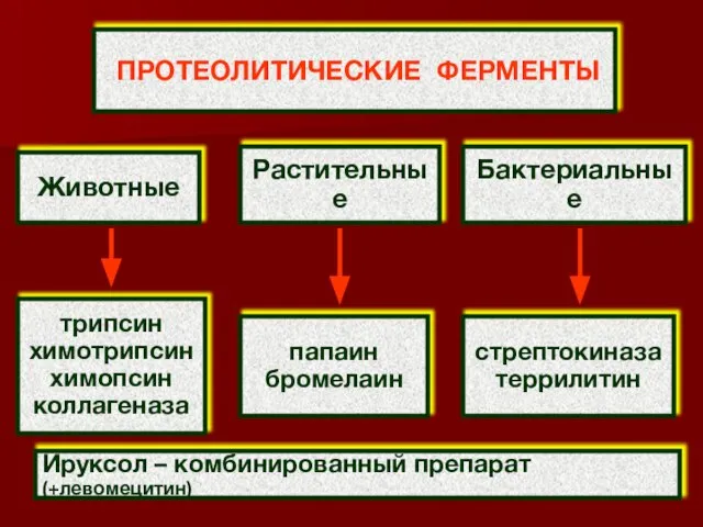 ПРОТЕОЛИТИЧЕСКИЕ ФЕРМЕНТЫ Животные Растительные Бактериальные трипсин химотрипсин химопсин коллагеназа папаин бромелаин стрептокиназа