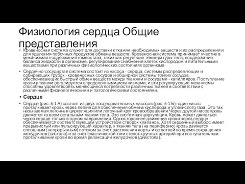 Физиология сердца Общие представления Кровеносная система служит для доставки к тканям необходимых