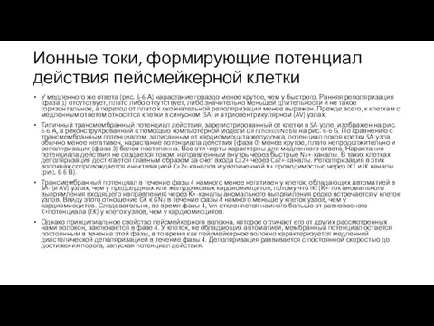 Ионные токи, формирующие потенциал действия пейсмейкерной клетки У медленного же ответа (рис.