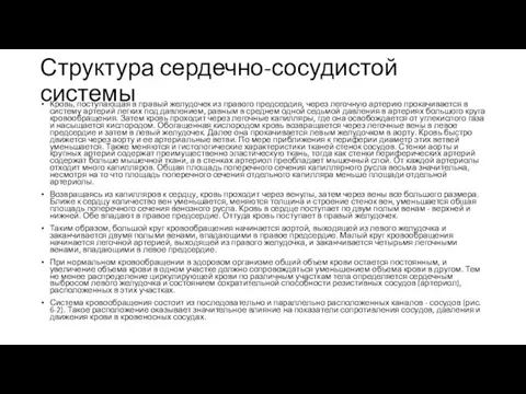 Структура сердечно-сосудистой системы Кровь, поступающая в правый желудочек из правого предсердия, через