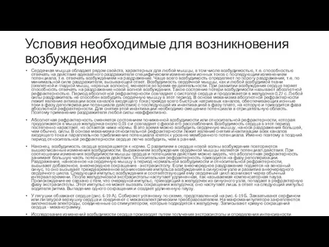 Условия необходимые для возникновения возбуждения Сердечная мышца обладает рядом свойств, характерных для