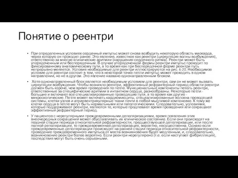 Понятие о реентри При определенных условиях сердечный импульс может снова возбудить некоторую