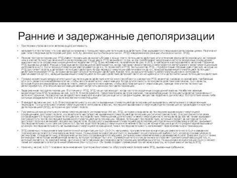 Ранние и задержанные деполяризации Триггерная (пусковая или запускающая) активность называется так потому,