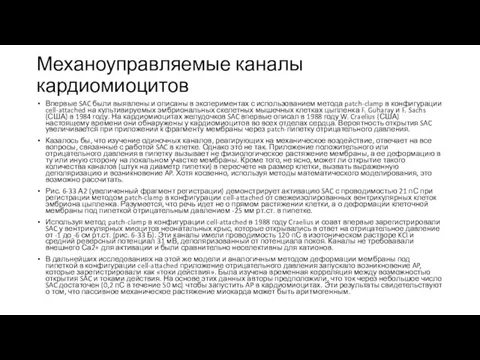 Механоуправляемые каналы кардиомиоцитов Впервые SAC были выявлены и описаны в экспериментах с