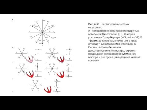 Рис. 6-39. Шестиосевая система координат. А - направление осей трех стандартных отведений