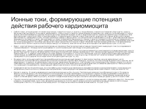 Ионные токи, формирующие потенциал действия рабочего кардиомиоцита Любой стимул, который делает Vm