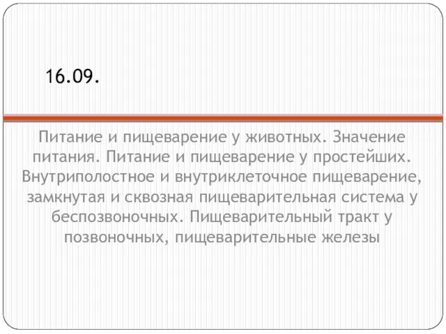 Питание и пищеварение у животных. Значение питания. Питание и пищеварение у простейших.